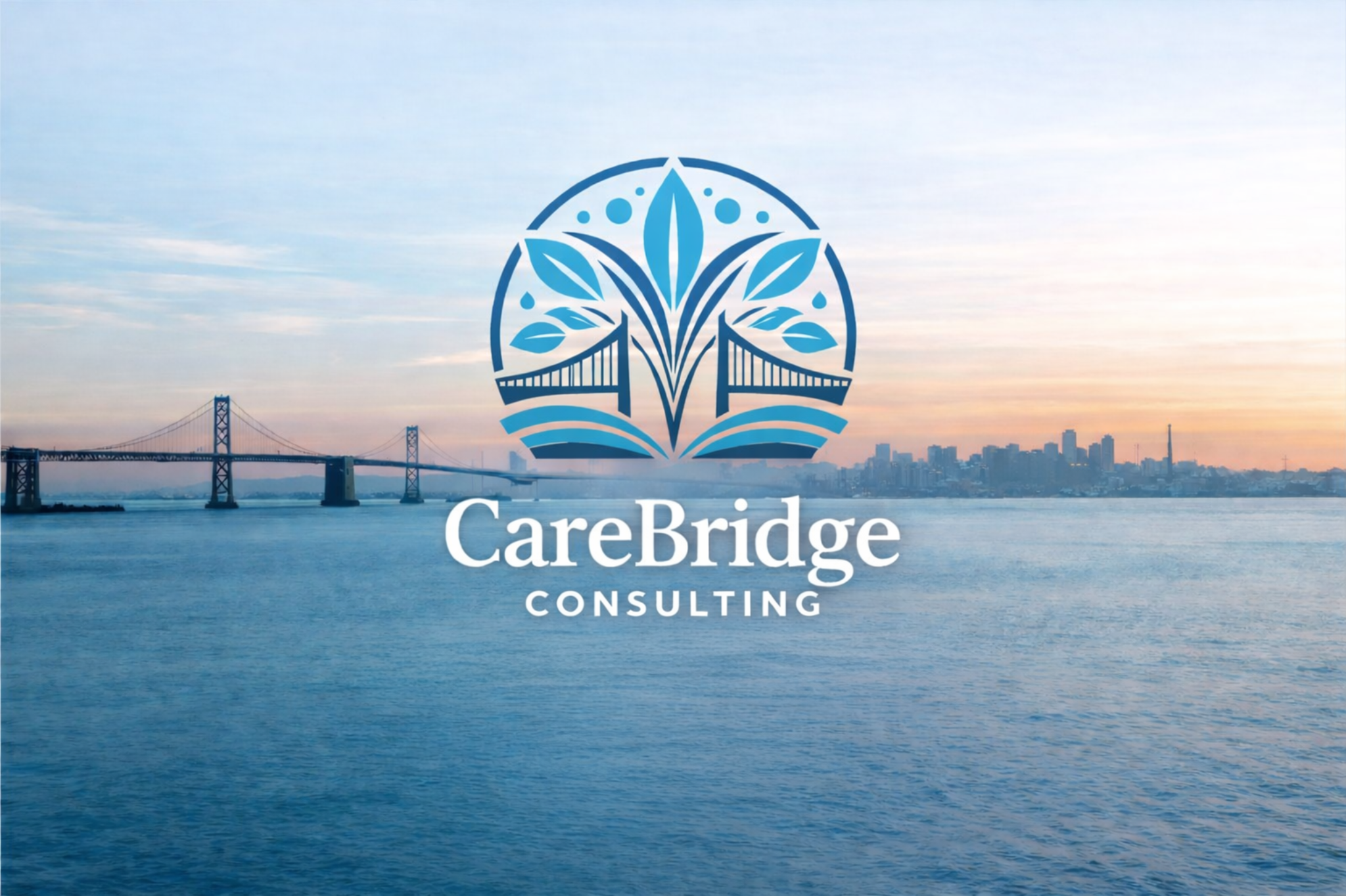 CareBridge Consulting cover
